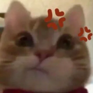 🤔 emoji Punya tata Vol. 1 @tatamarCo Telegram sticker 17 of 23