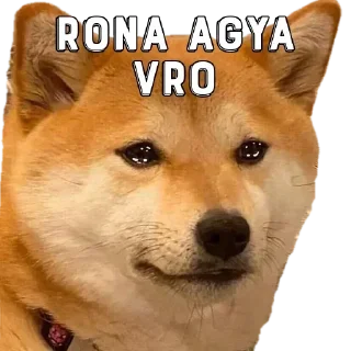🙂 emoji Dogesh fodu — @stckrRobot Telegram sticker 12 of 100