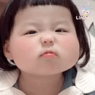 🐽 emoji 小琳酱 专属 Telegram sticker 5 of 54