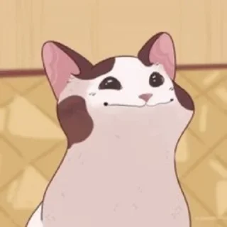 💞 emoji @wallpaper_kid cute cat😺 @Anime_Sticker_noob Telegram sticker 16 of 120