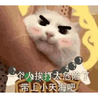 Sticker from 在 劫 难 逃 @HRfrog