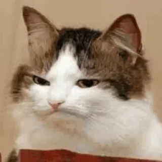 😒 emoji My pack Telegram sticker 16 of 85