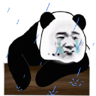 🤔 emoji 高速代理 @hgwzcd Telegram sticker 23 of 50