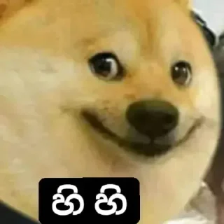 😁 emoji Maru Habay🥲 Telegram sticker 20 of 116