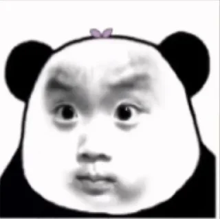 🐚 emoji 多宝支付—彭于晏专用 Telegram sticker 21 of 111