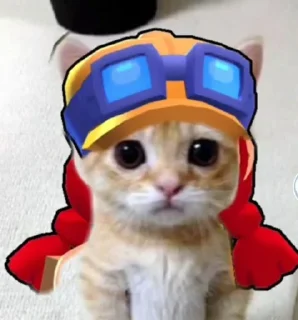 🐈 emoji 𝓡and𖦹m 𝓢tickiꫀ (2)🧚🏻‍♂️💭@bunnyinjoong Telegram sticker 9 of 49