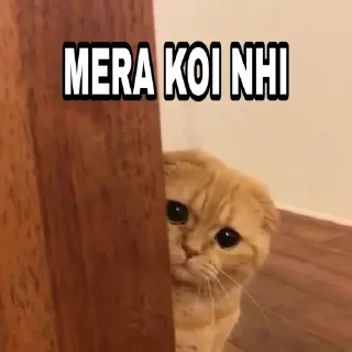 ❤️ emoji @Itz_Keshav_Op Cat's pack Telegram sticker 10 of 36