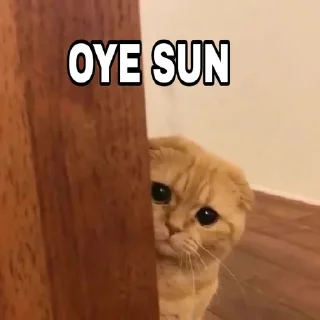 ❤️ emoji @Itz_Keshav_Op Cat's pack Telegram sticker 5 of 36