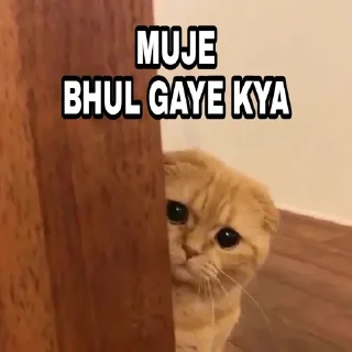 ❤️ emoji @Itz_Keshav_Op Cat's pack Telegram sticker 17 of 36