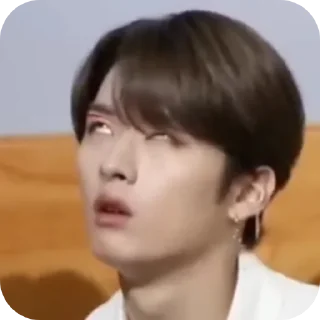 🙄 emoji JIMINGYU PT2 Telegram sticker 11 of 109