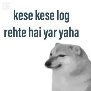 ✨ emoji Riyaz Doge sticker @Riyaz0123 — @stckrRobot Telegram sticker 13 of 107