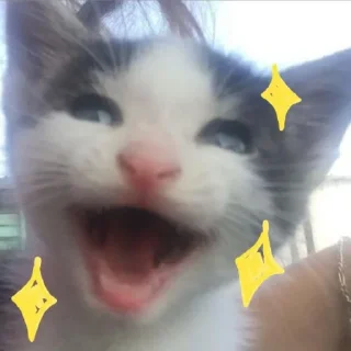 🌟 emoji kylaboo Telegram sticker 5 of 72