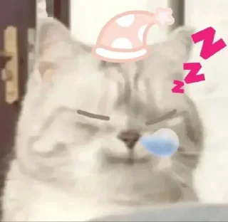 😴 emoji kylaboo Telegram sticker 13 of 72