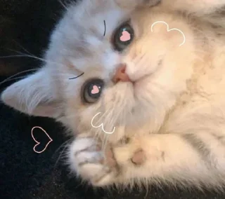 🤕 emoji kylaboo Telegram sticker 17 of 72