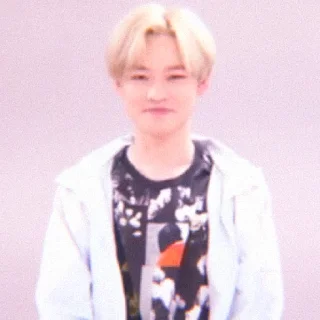 🐬 emoji Soft Chenle by @stickernct Telegram sticker 13 of 43