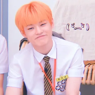 🐬 emoji Soft Chenle by @stickernct Telegram sticker 9 of 43