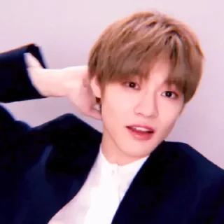 🐬 emoji Soft Chenle by @stickernct Telegram sticker 18 of 43