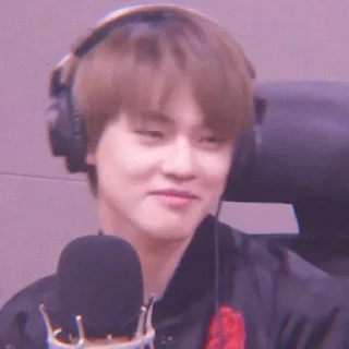 🐬 emoji Soft Chenle by @stickernct Telegram sticker 22 of 43