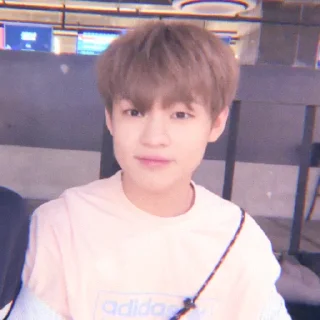🐬 emoji Soft Chenle by @stickernct Telegram sticker 12 of 43