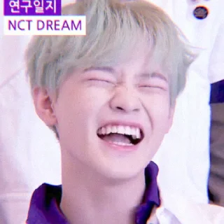 🐬 emoji Soft Chenle by @stickernct Telegram sticker 16 of 43