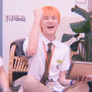 🐬 emoji Soft Chenle by @stickernct Telegram sticker 8 of 43