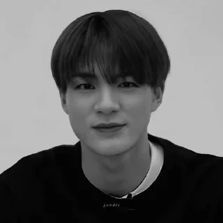🐻 emoji KDRJENO V.2 @leviosastory Telegram sticker 7 of 48