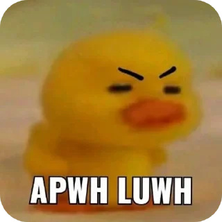 🖼 emoji 카이지 Telegram sticker 18 of 89