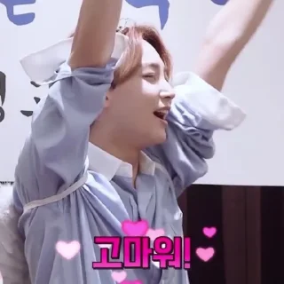 🥰 emoji RELATABLE SVT Telegram sticker 13 of 120