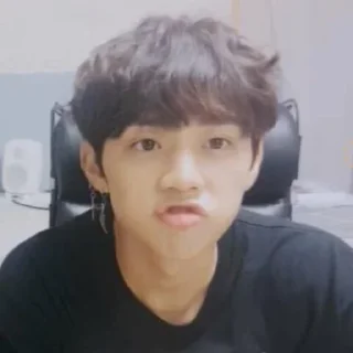 🦝 emoji sunwoo Telegram sticker 19 of 59