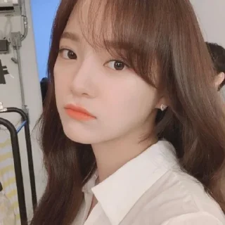 🔍 emoji kim sejeong - PIYYARRYJIN Telegram sticker 21 of 57