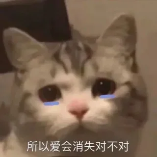 💔 emoji 云烟表情包1 Telegram sticker 5 of 80