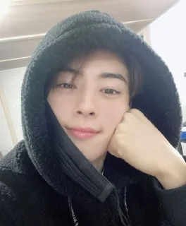 Sticker from Cha eunwoo - @arvnbr