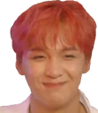 🙂 emoji Haechan Telegram sticker 23 of 72