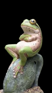 🐸 emoji Pro max Telegram sticker 14 of 16