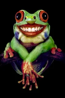 🐸 emoji Pro max Telegram sticker 16 of 16