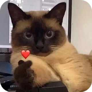 👍 emoji 艾露猫自用 Telegram sticker 5 of 29