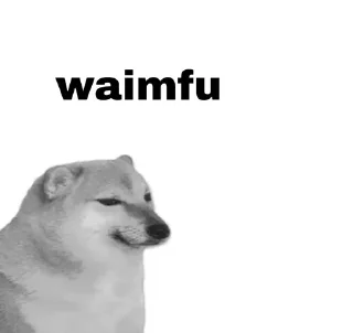 💀 emoji Otaku doge Telegram sticker 11 of 41