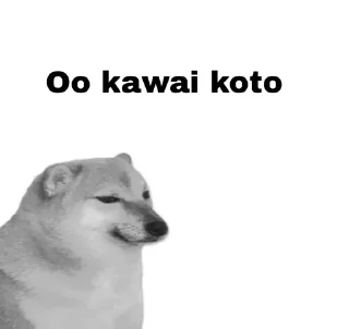 💀 emoji Otaku doge Telegram sticker 5 of 41