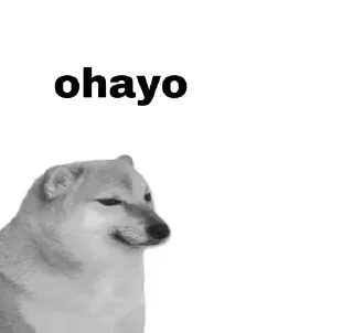 💀 emoji Otaku doge Telegram sticker 15 of 41