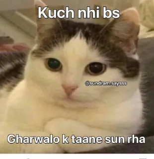 😂 emoji @Opstickerpacks 🌟 cat Memes 😎💫 Telegram sticker 20 of 67