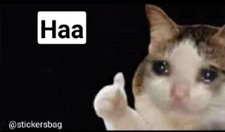 👍 emoji Cat memes🌟💖 @itsmelegend Telegram sticker 10 of 95