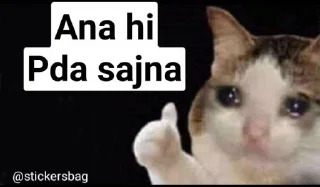 😂 emoji Cat memes🌟💖 @itsmelegend Telegram sticker 7 of 95