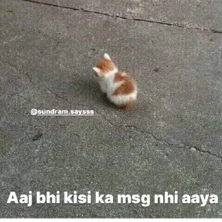🥺 emoji @Opstickerpacks 🌟 cat Memes 😎💫 Telegram sticker 24 of 67
