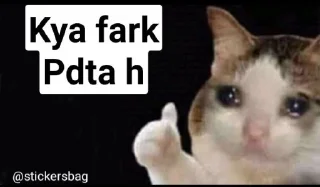 🥲 emoji Cat memes🌟💖 @itsmelegend Telegram sticker 13 of 95