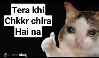 😂 emoji Cat memes🌟💖 @itsmelegend Telegram sticker 16 of 95