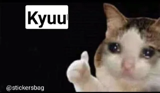 😂 emoji Cat memes🌟💖 @itsmelegend Telegram sticker 5 of 95