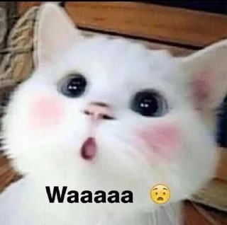 😮 emoji Mayumi Telegram sticker 24 of 45