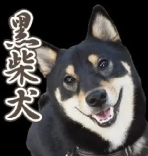 😊 emoji Dog Telegram sticker 22 of 23
