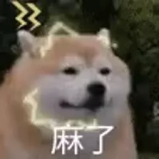 🐕 emoji 狗推江湖 @GouTui Telegram sticker 14 of 40