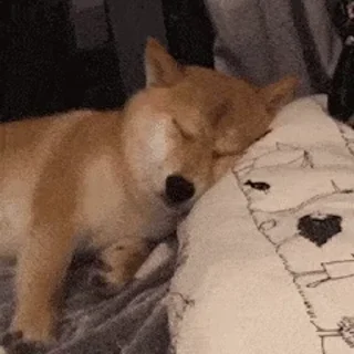 🐕 emoji 狗推江湖 @GouTui Telegram sticker 23 of 40